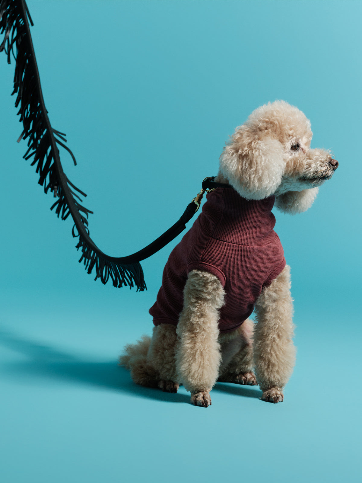 CANINO Fringe Leash