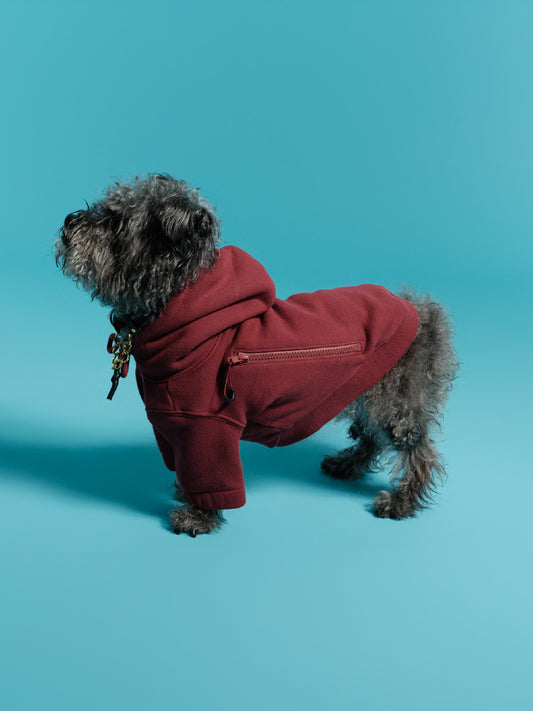 NICO HOODIE IN RUMOUR RED