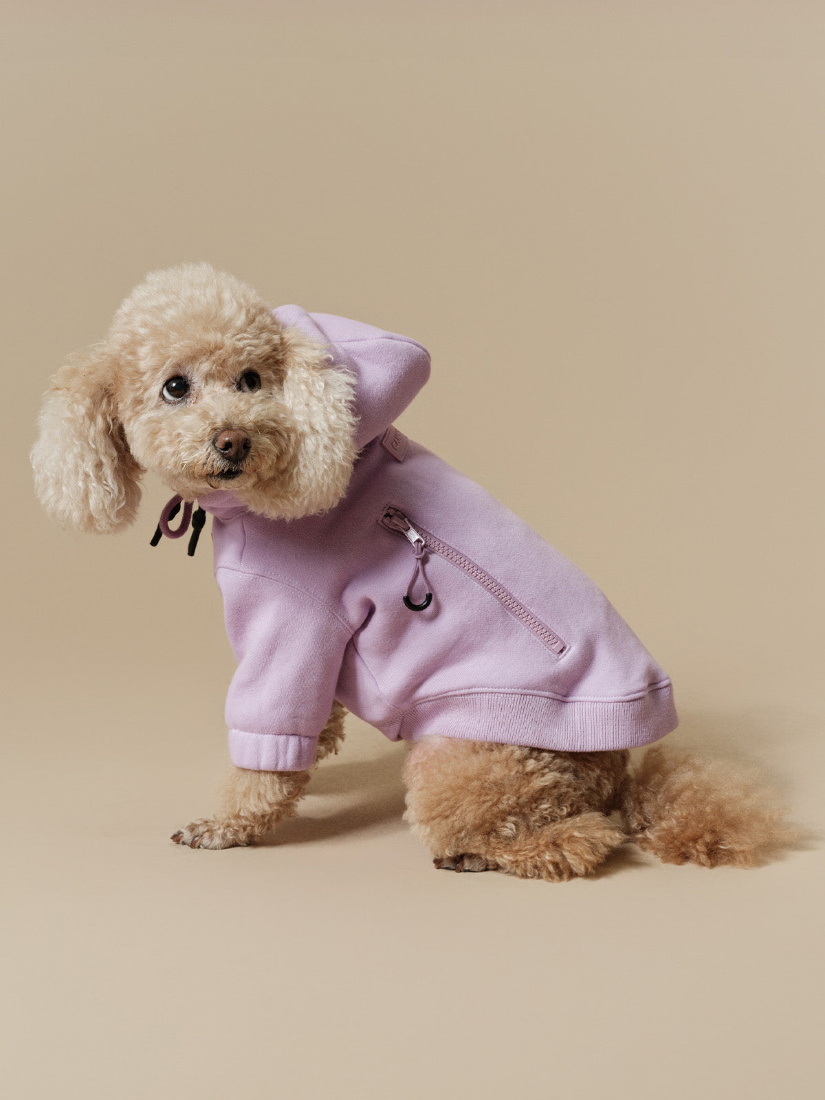 NICO HOODIE IN SMOOTHIE